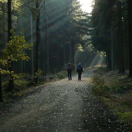 Zimmervermietung-Heide-Fiege Hartmannsdorf bei Chemnitz Zewnętrze zdjęcie